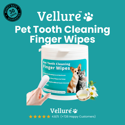 Vellure™ Organic Pet Dental Wipes